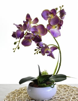 Dirbtinė satininė orchidėja...