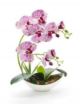 copy of Latex orchid DGK53